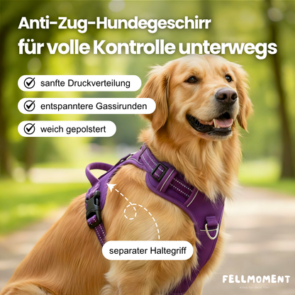 Mehr Kontrolle. Weniger Zug. – Das TRUE LOVE Hundegeschirr für entspannte Spaziergänge.