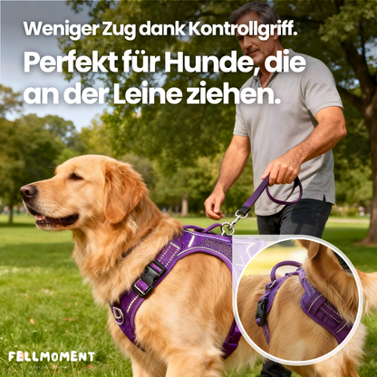 Mehr Kontrolle. Weniger Zug. – Das TRUE LOVE Hundegeschirr für entspannte Spaziergänge.