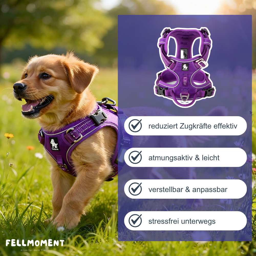 Mehr Kontrolle. Weniger Zug. – Das TRUE LOVE Hundegeschirr für entspannte Spaziergänge.