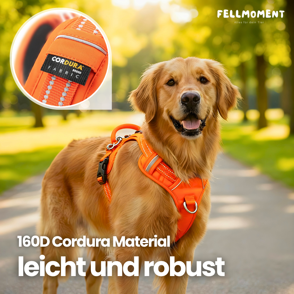 Mehr Kontrolle. Weniger Zug. – Das TRUE LOVE Hundegeschirr für entspannte Spaziergänge.