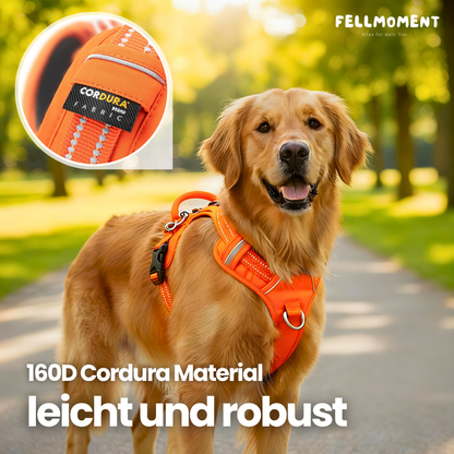 Mehr Kontrolle. Weniger Zug. – Das TRUE LOVE Hundegeschirr für entspannte Spaziergänge.