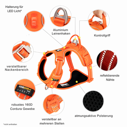 Mehr Kontrolle. Weniger Zug. – Das TRUE LOVE Hundegeschirr für entspannte Spaziergänge.