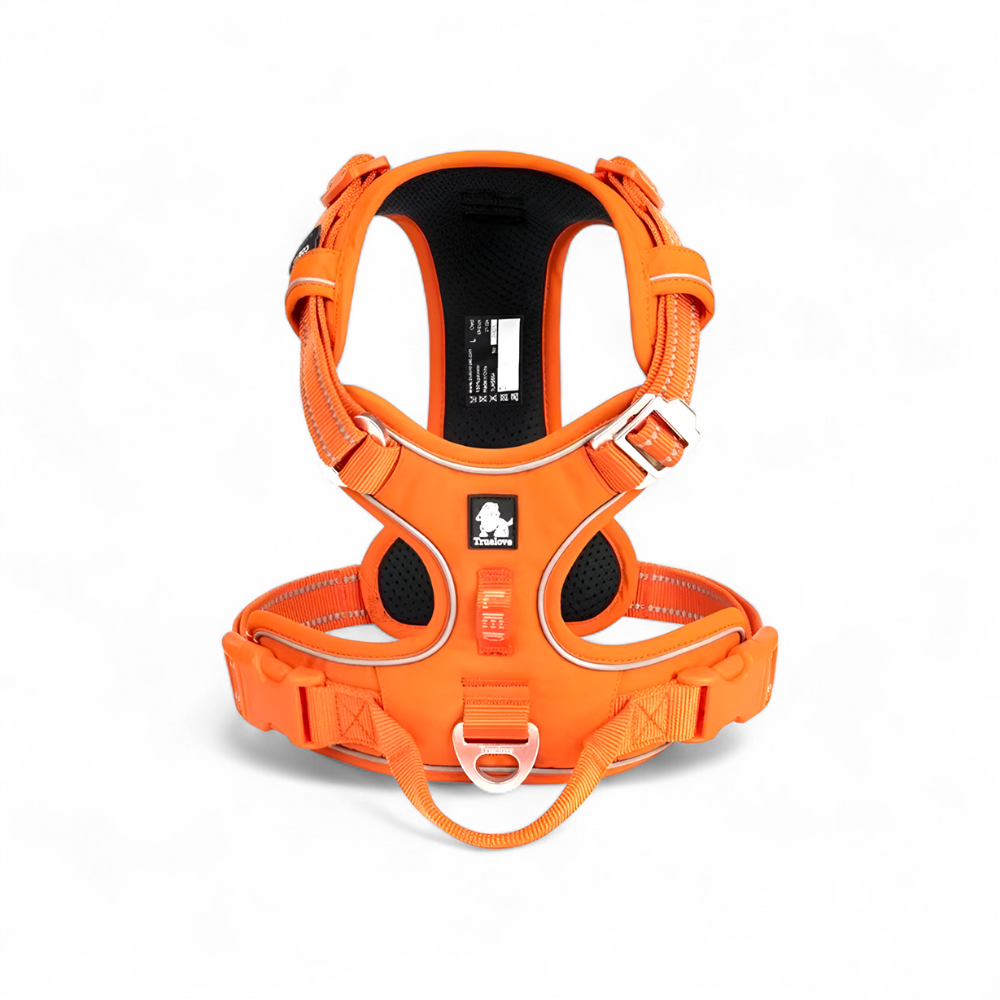 Mehr Kontrolle. Weniger Zug. – Das TRUE LOVE Hundegeschirr für entspannte Spaziergänge.