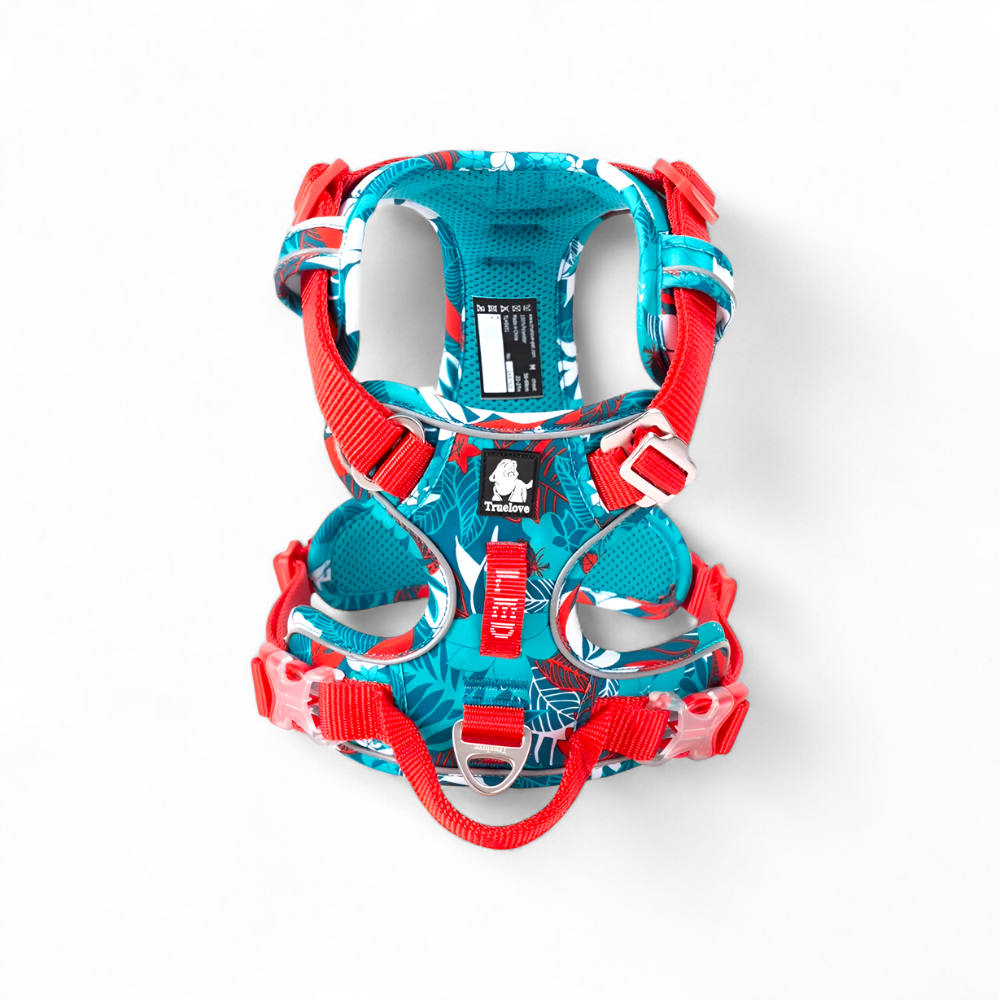 Mehr Kontrolle. Weniger Zug. – Das TRUE LOVE Hundegeschirr für entspannte Spaziergänge.