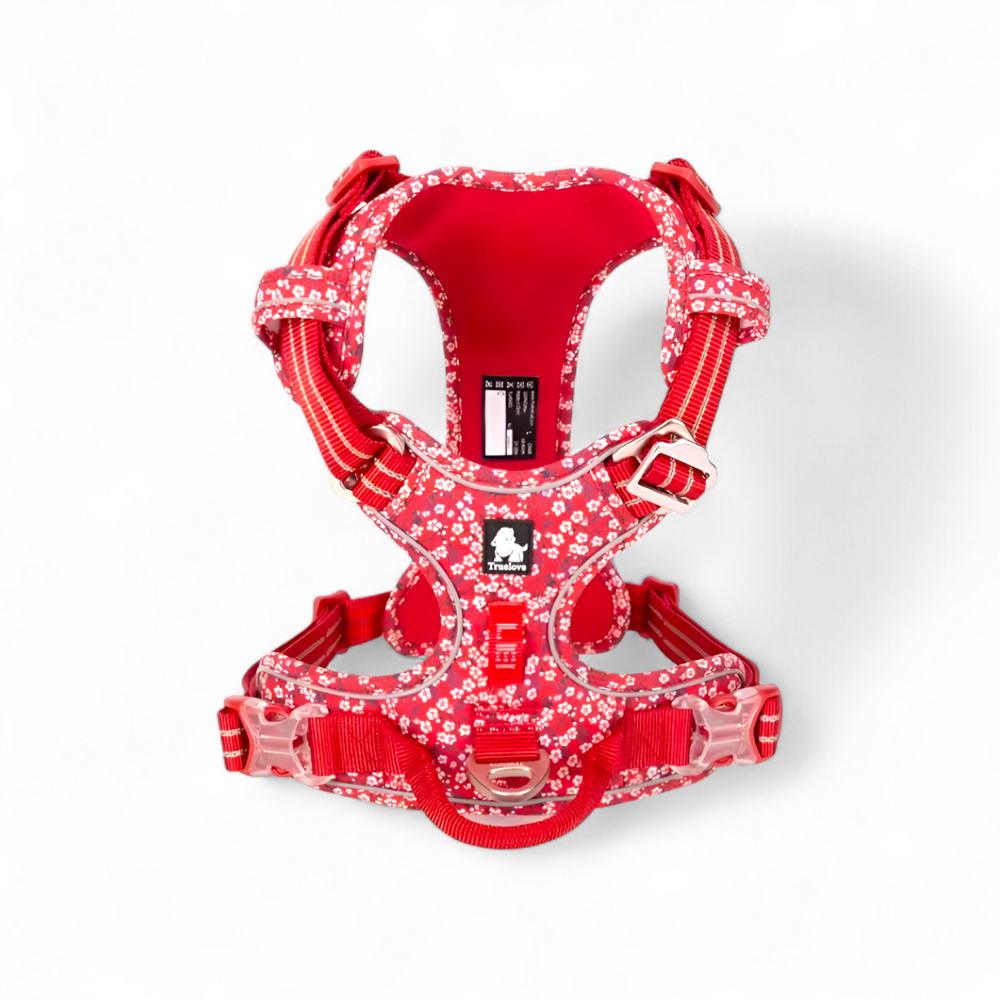 Mehr Kontrolle. Weniger Zug. – Das TRUE LOVE Hundegeschirr für entspannte Spaziergänge.
