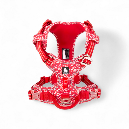 Mehr Kontrolle. Weniger Zug. – Das TRUE LOVE Hundegeschirr für entspannte Spaziergänge.